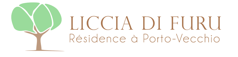 Accueil
